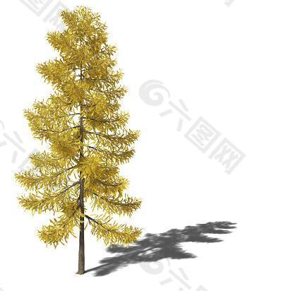 黄色树叶垂直树木模型