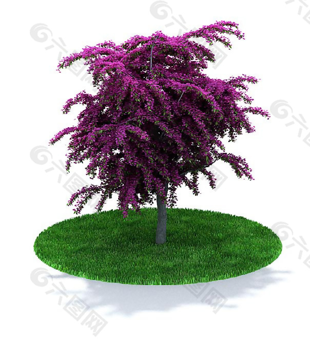 紫色叶子树3D模型