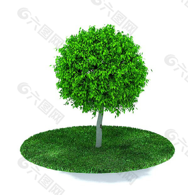 枝叶茂密树木3D模型