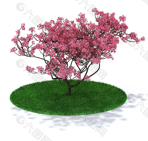 粉色桃花树3D模型