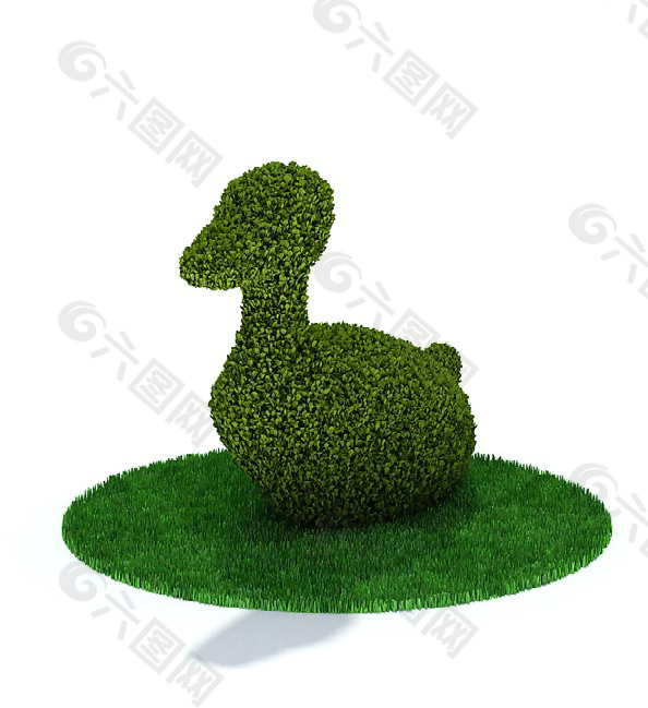 小鸭子园艺植物3D模型