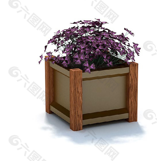 家种紫色小花盆景3D模型