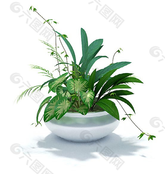 绿色植物组合盆景3D模型