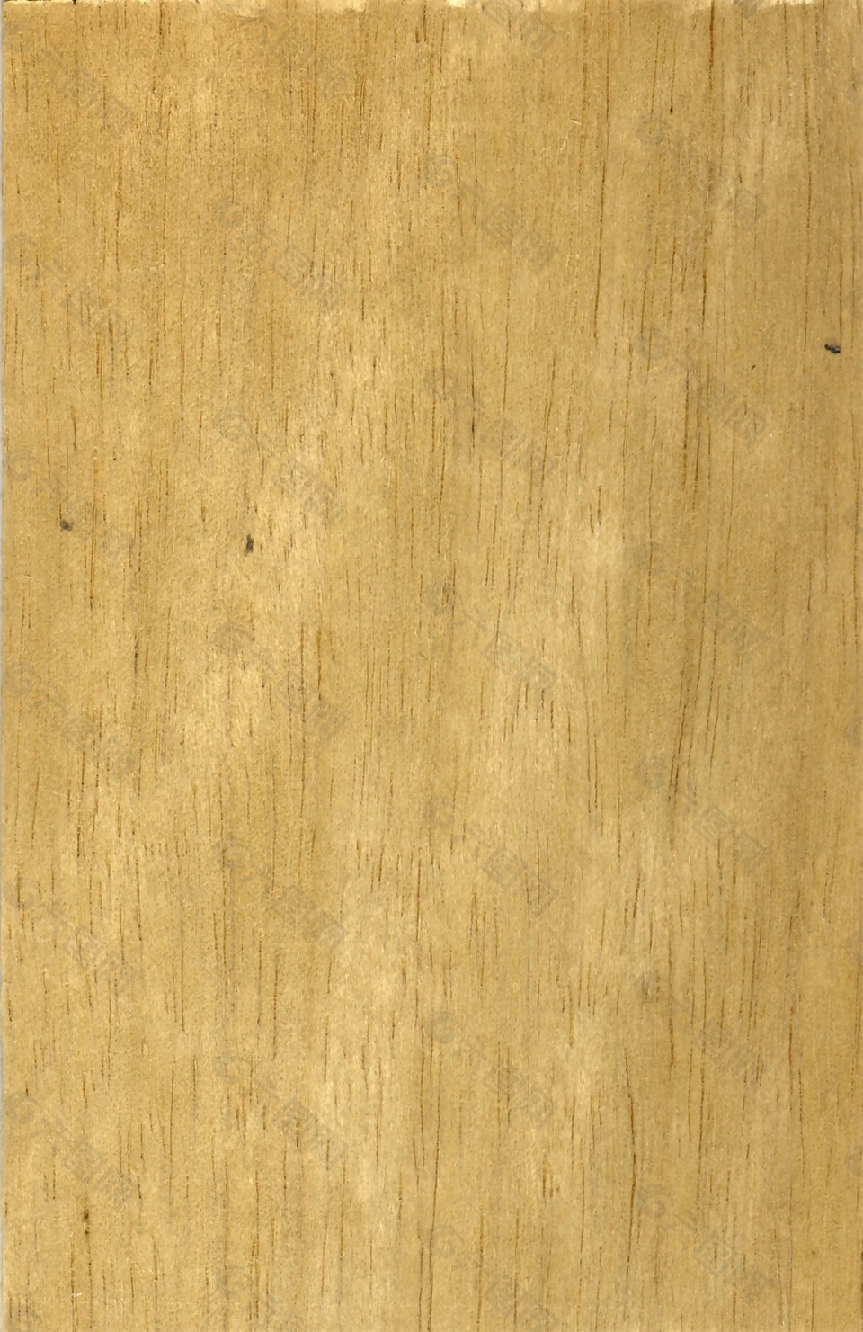 现代黄色天然木材质贴图