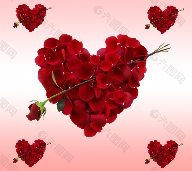红色玫瑰花花朵移门装饰画