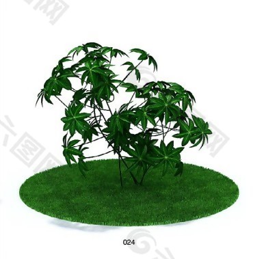 八角金盘植物模型素材