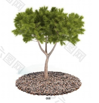 绿植Arch树模型