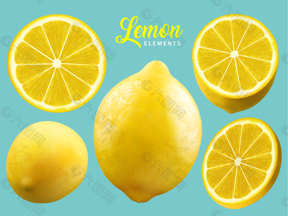 写实水果柠檬插画
