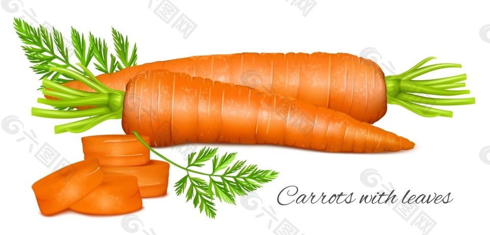 胡萝卜蔬果矢量素材