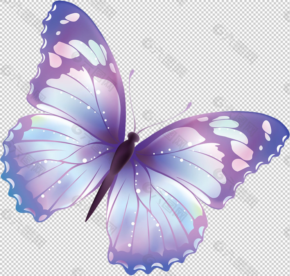 漂亮蝴蝶图免抠png透明图层素材设计元素素材免费下载 图片编号 六图网