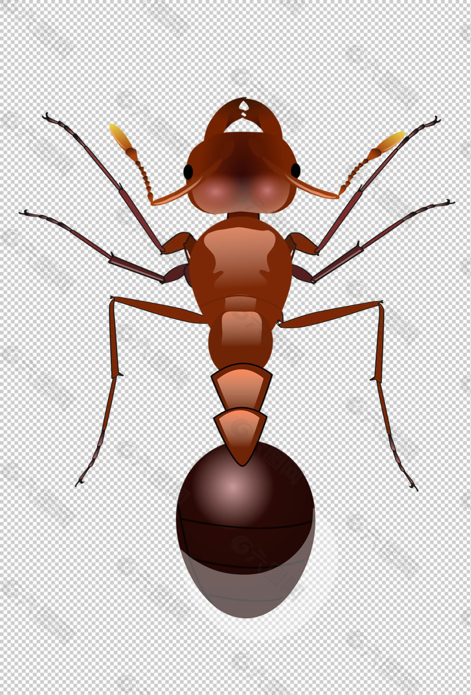 红色大蚂蚁免抠png透明图层素材