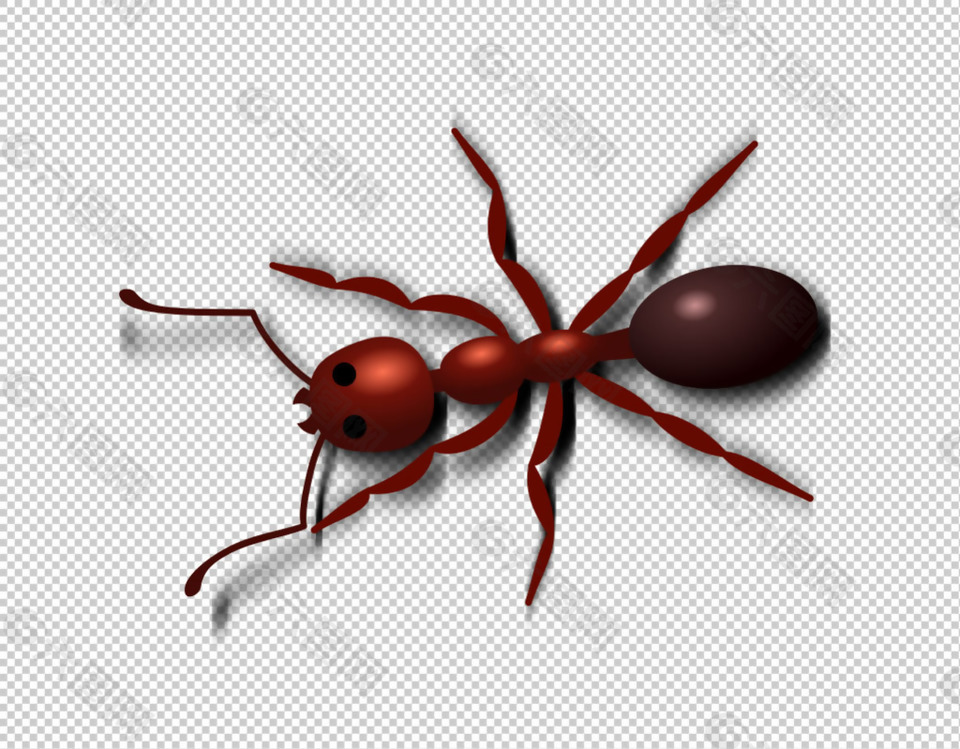 红色蚂蚁免抠png透明图层素材