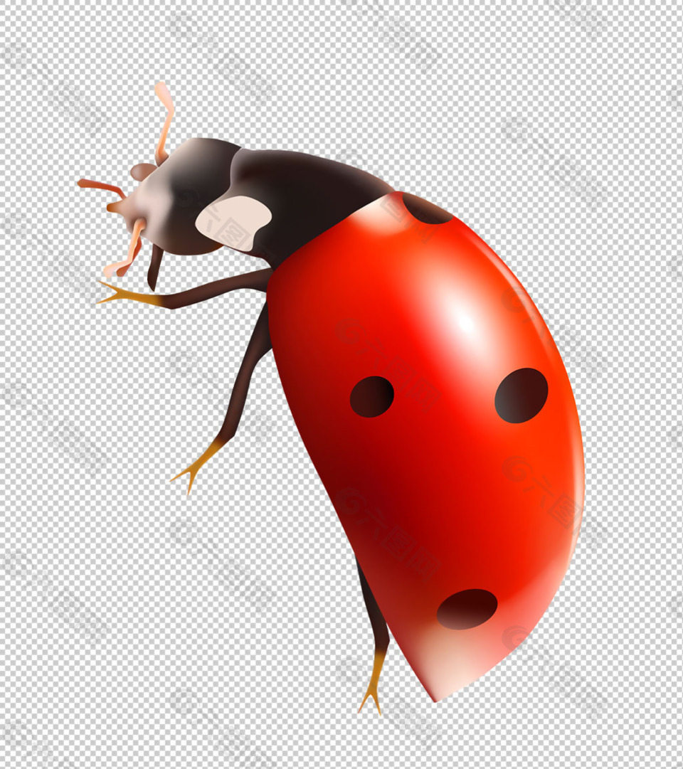 红色的瓢虫免抠png透明图层素材