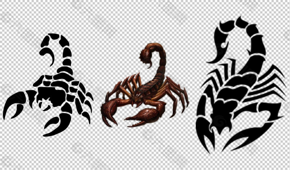 黑色蝎子图案免抠png透明图层素材