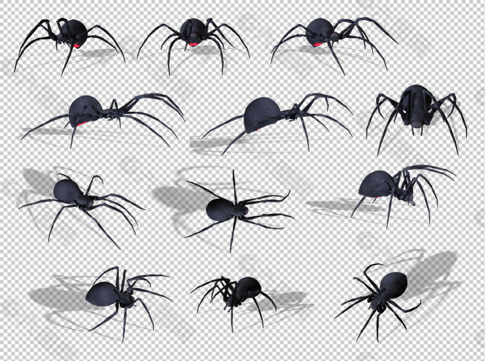 一群大蜘蛛免抠png透明图层素材设计元素素材免费下载 图片编号 六图网