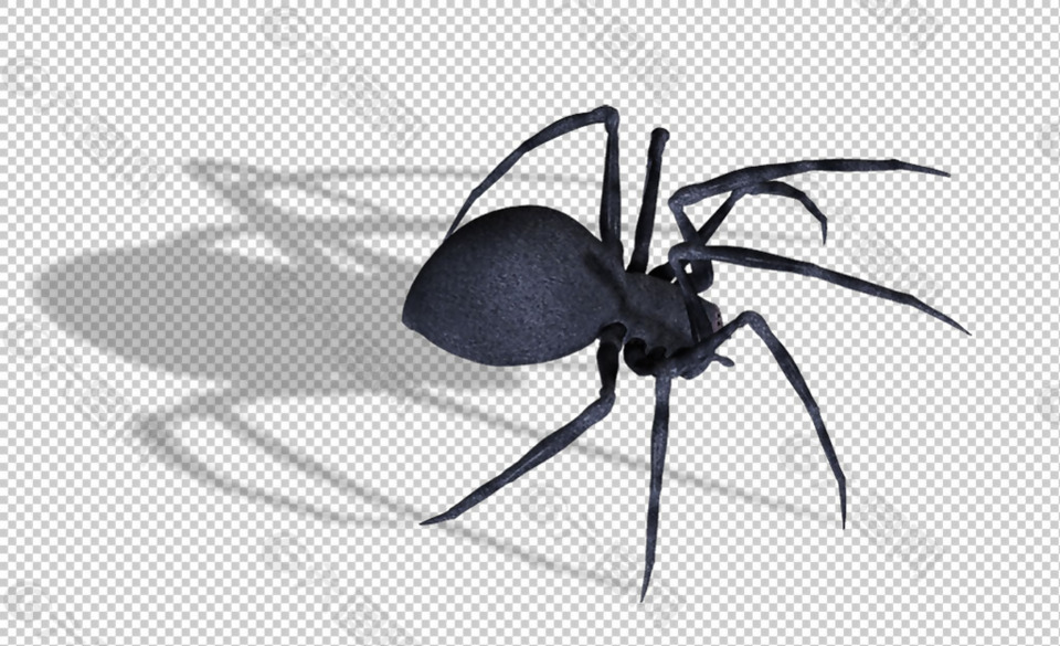 手绘蜘蛛免抠png透明图层素材设计元素素材免费下载 图片编号 六图网