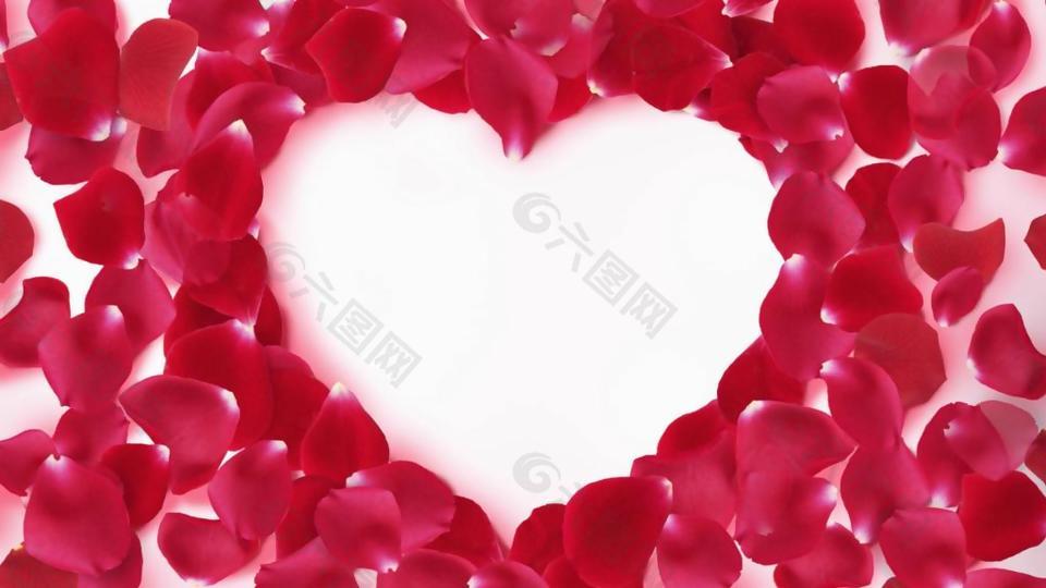 浪漫玫瑰爱心动态视频素材