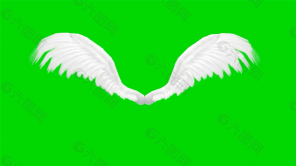 飞翔的白色翅膀动态Mov视频素材下载