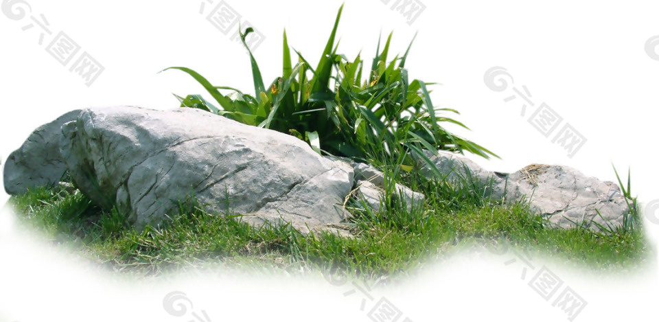 草丛石头荒野绿色景观素材