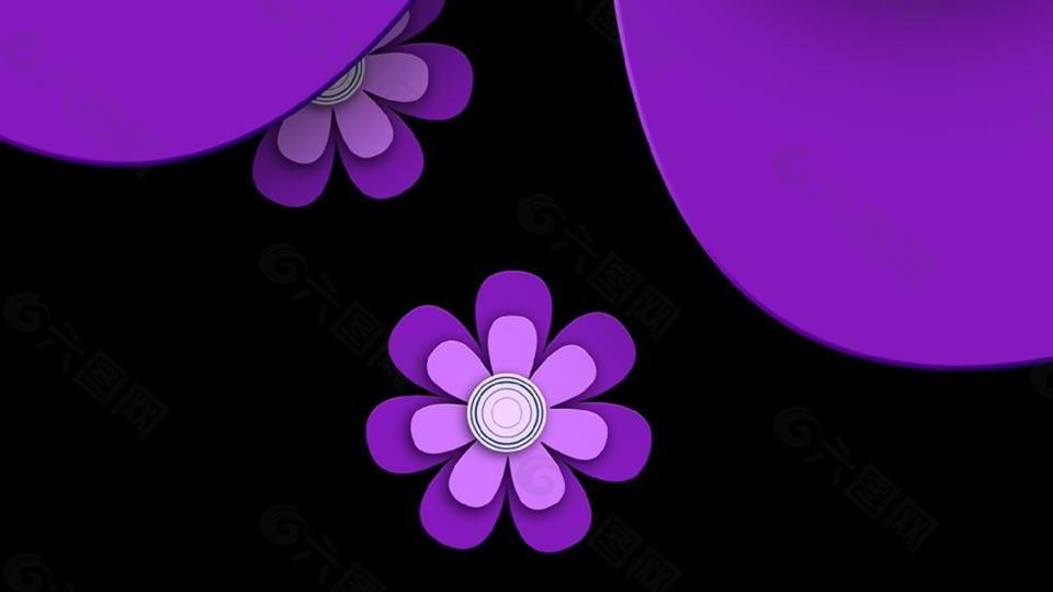 紫色花朵动态转场视频素材