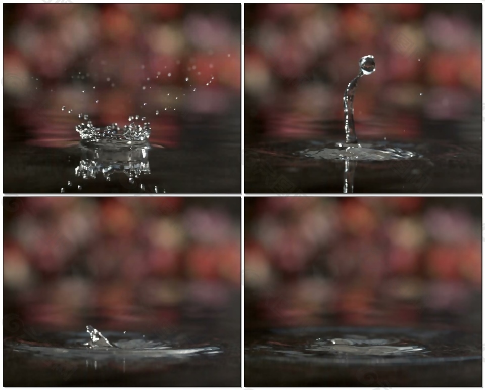 水滴视频素材
