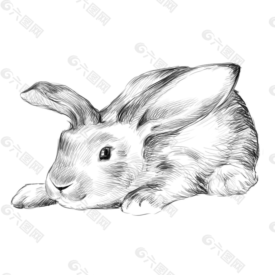 萌宠兔子插图背景