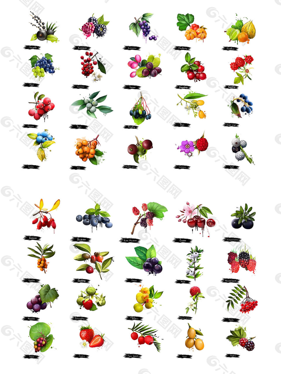 手绘水果鲜花集合图案