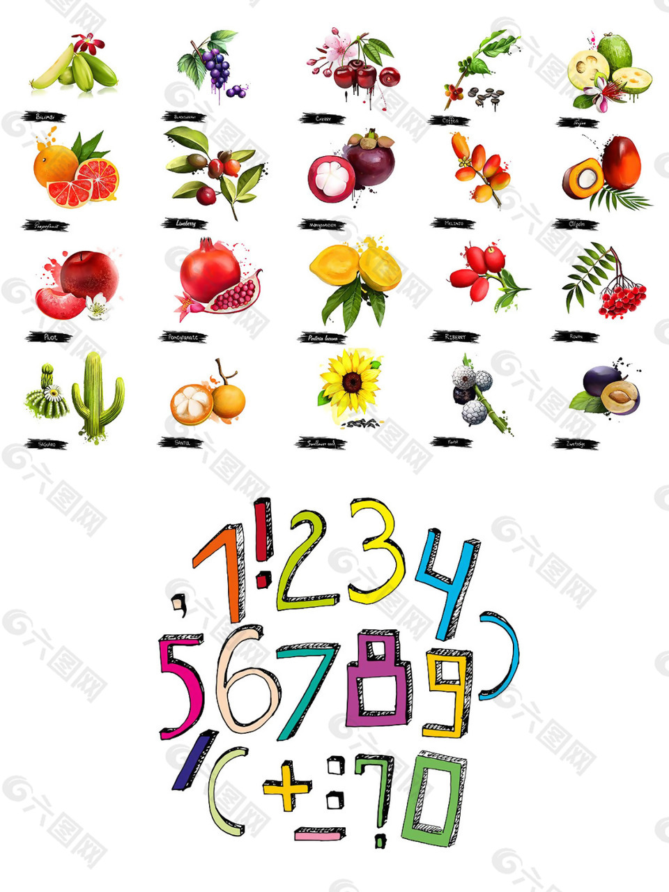 手绘水果数字图案