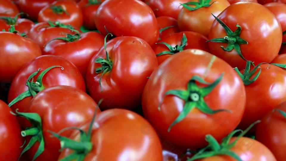 食品市场-西红柿2