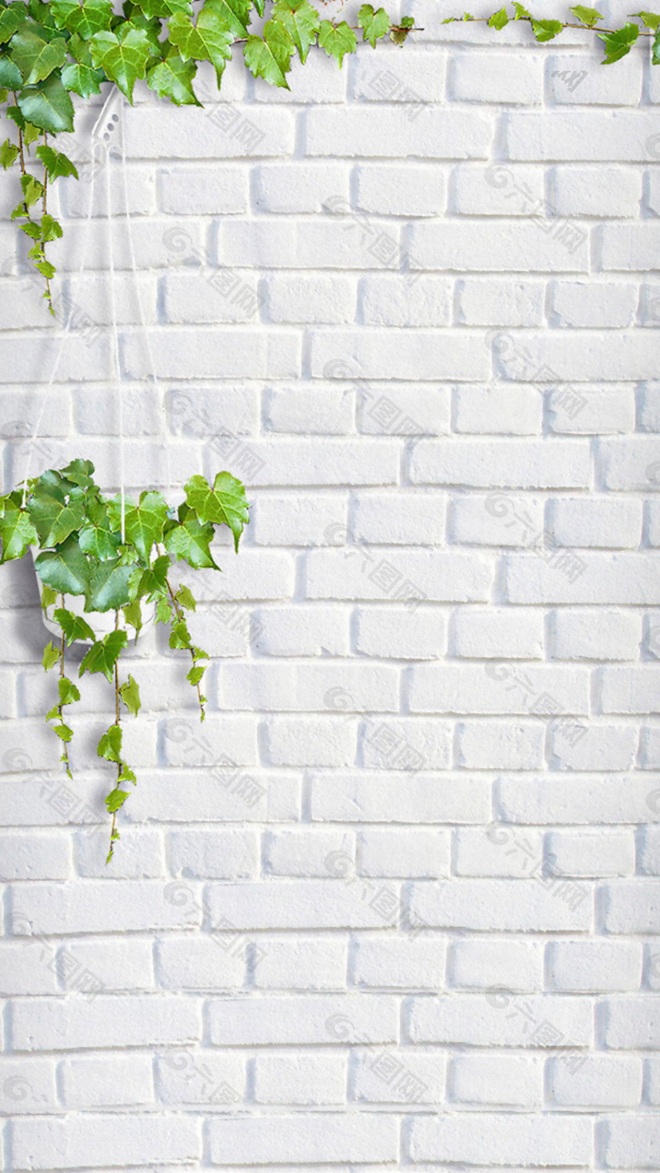 960_1706竖版 竖屏