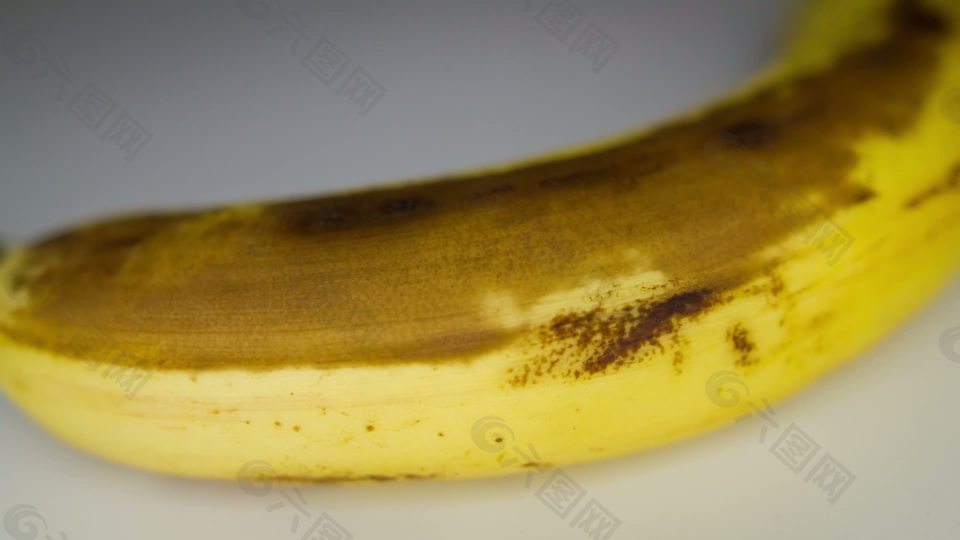香蕉成熟期