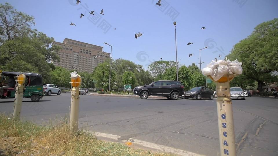 鸽子在印度十字路口飞行。