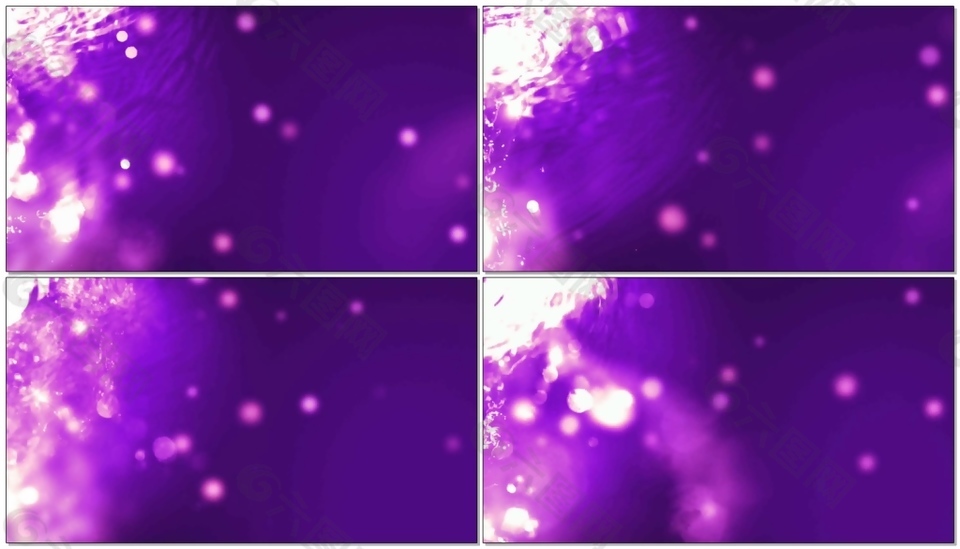 清新视觉紫色花瓣视频素材