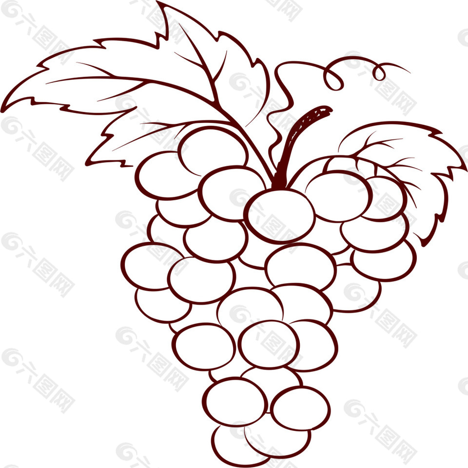 红酒葡萄酒一串葡萄矢量图