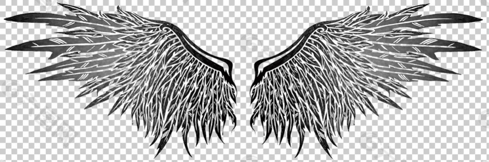 翅膀纹身图片免抠png透明图层素材
