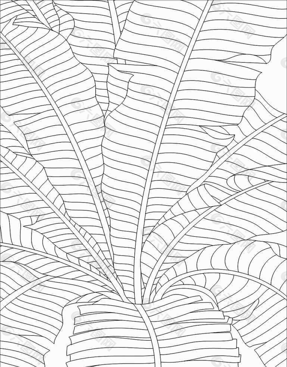 白描芭蕉叶家装装饰画