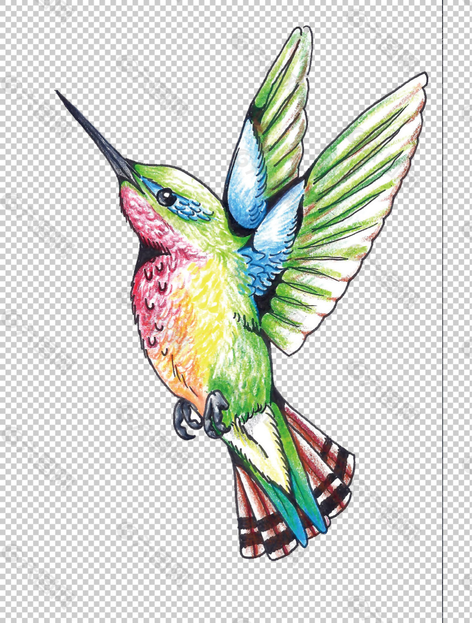 手绘彩色蜂鸟免抠png透明图层素材