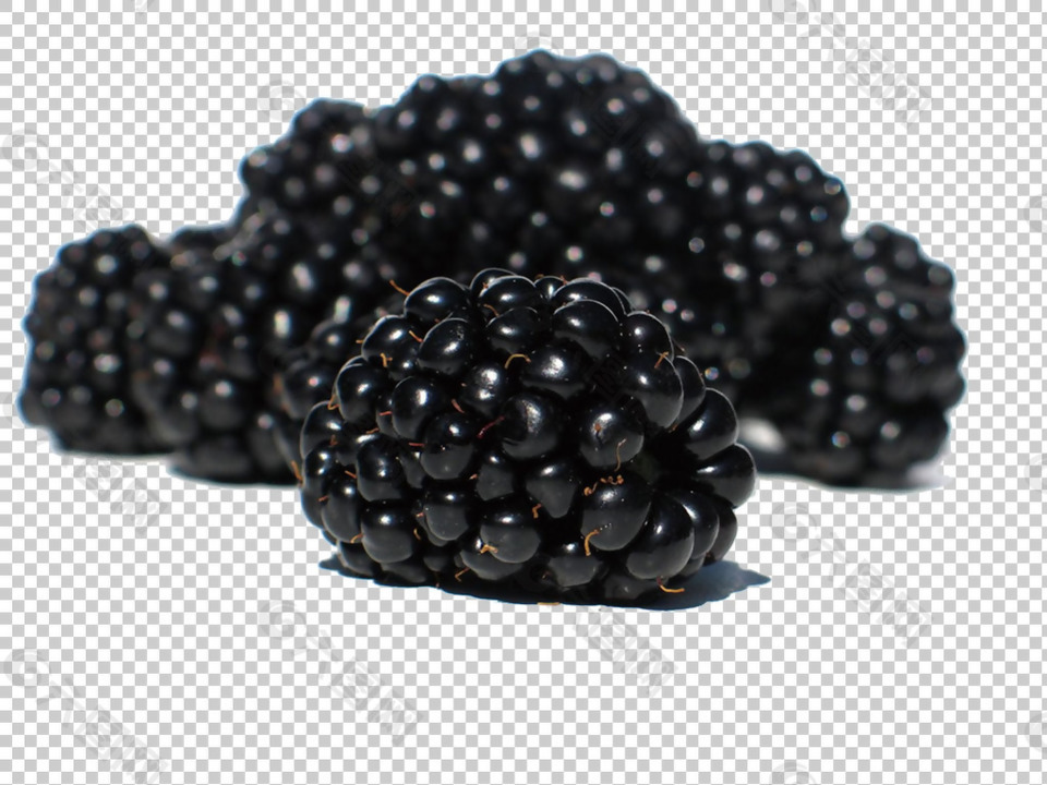 黑莓野果图片免抠png透明图层素材