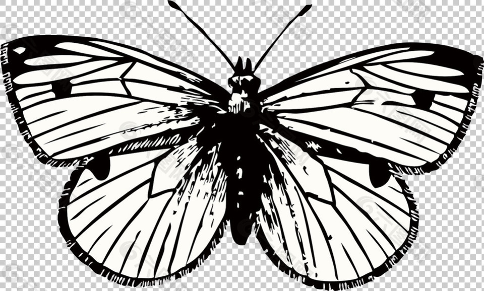 蝴蝶花样文身图案免抠png透明图层素材