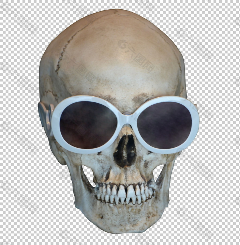 戴眼镜的人头骨免抠png透明图层素材