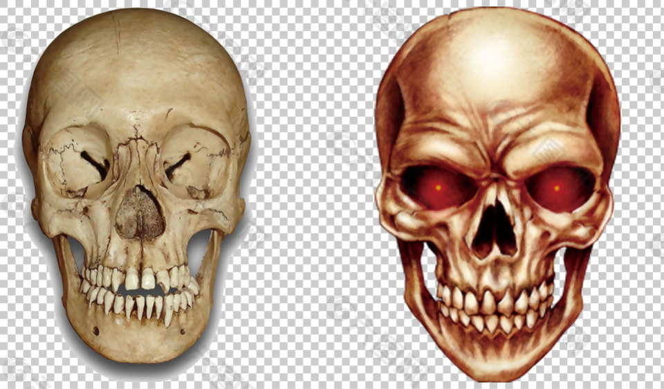 手绘人头骨免抠png透明图层素材