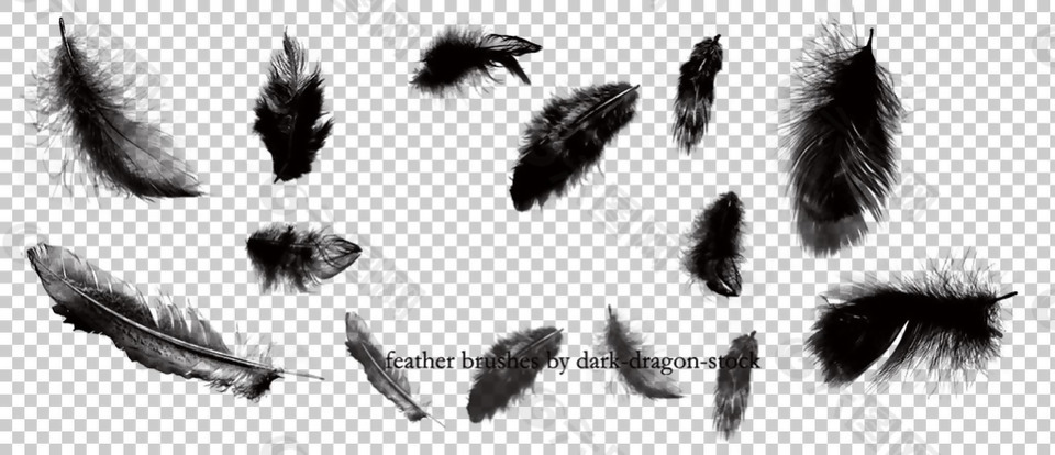 漂亮黑色羽毛免抠png透明图层素材