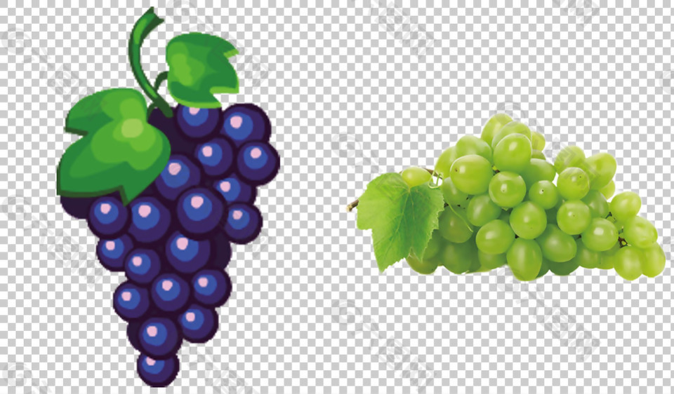 紫色和绿色葡萄免抠png透明图层素材