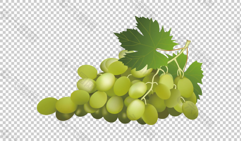 绿色的葡萄免抠png透明图层素材