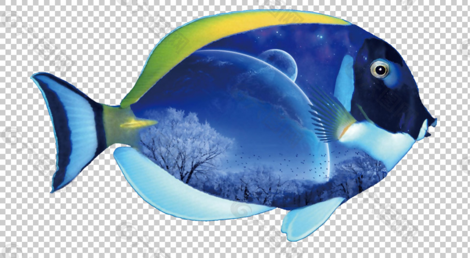蓝色热带鱼免抠png透明图层素材