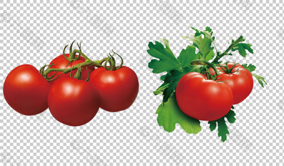 红色番茄西红柿免抠png透明图层素材