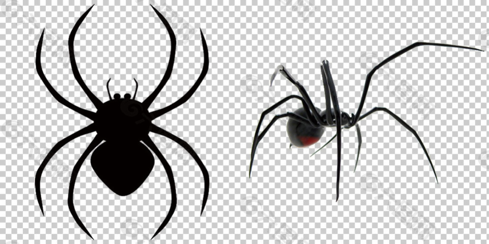 黑蜘蛛免抠png透明图层素材