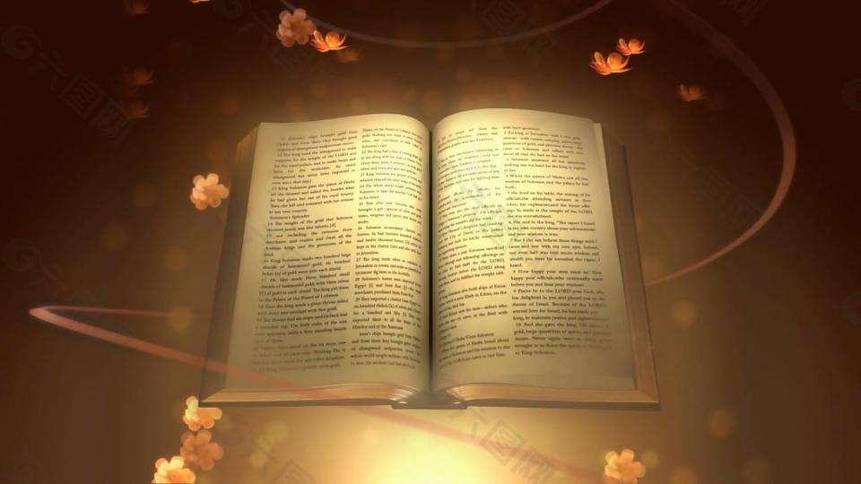 古典圣经散发迷人光芒动态素材