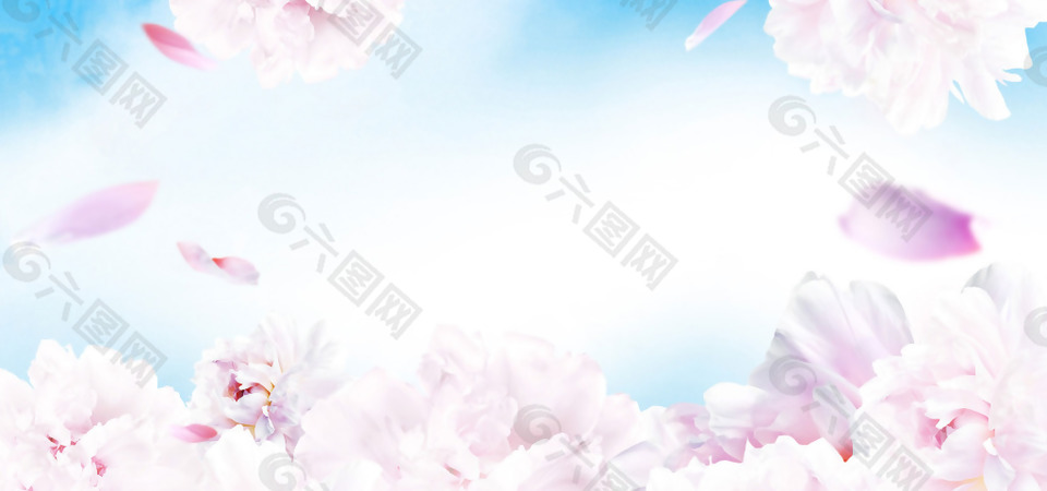 清新粉色花朵淘宝全屏banner背景