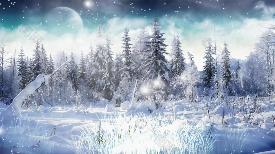 创意梦幻冬天雪地意景雪粒飘舞动态视频素材